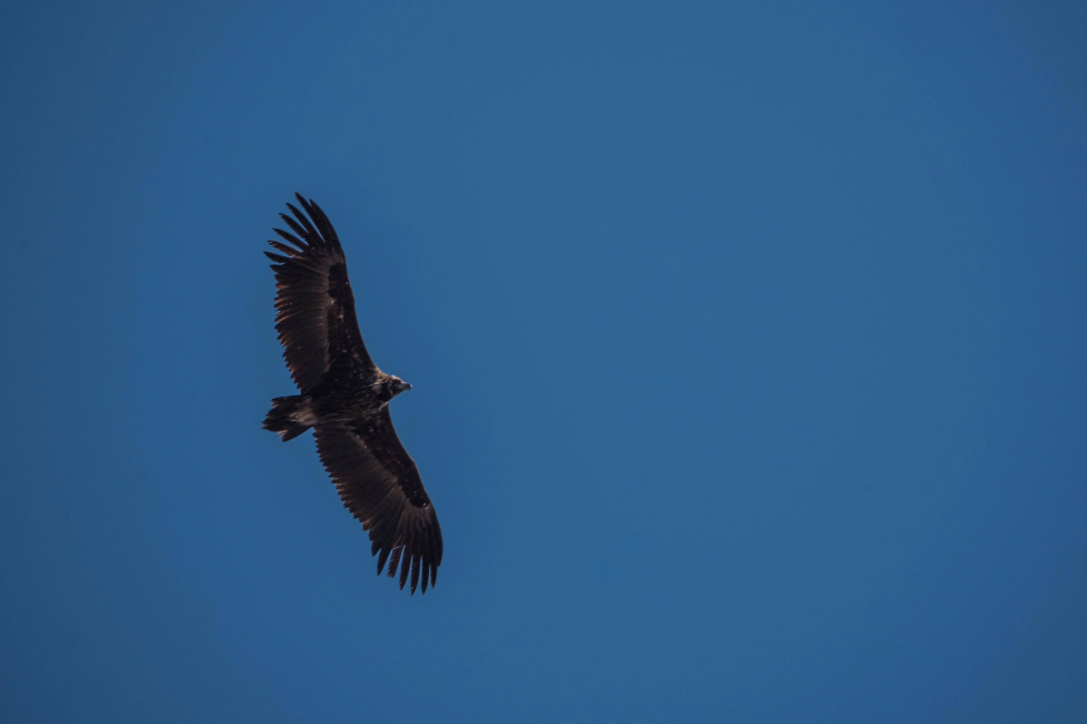 Fomos distinguidos com o prémio “Douro + Sustentável” 2025 na categoria