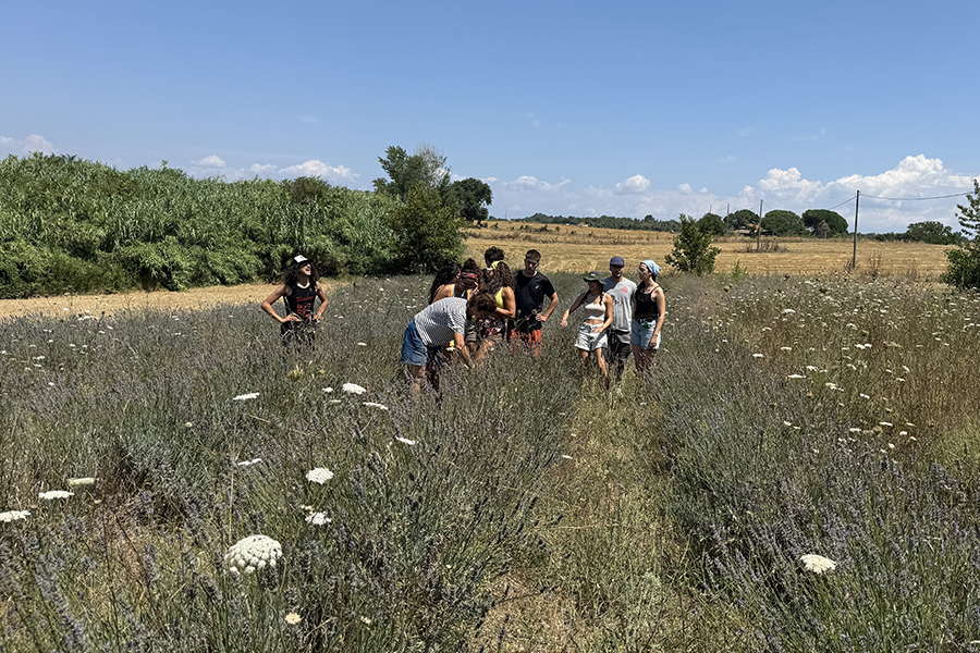 Exploring Nature and the Cosmos: campo de verão em Itália reforça ligação entre jovens, natureza e estrelas