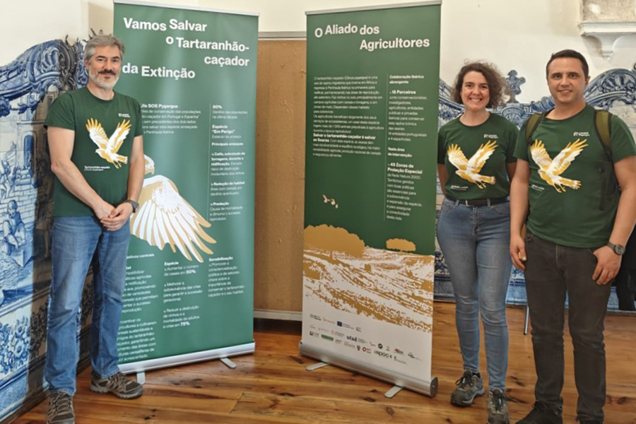 LIFE SOS Pygargus presente no INTER LIFE PT 2026 e no encerramento do LIFE CAP PT II