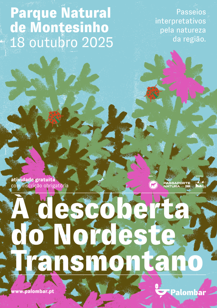 CICLO À DESCOBERTA DO NORDESTE TRANSMONTANO - PARQUE NATURAL DE MONTESINHO