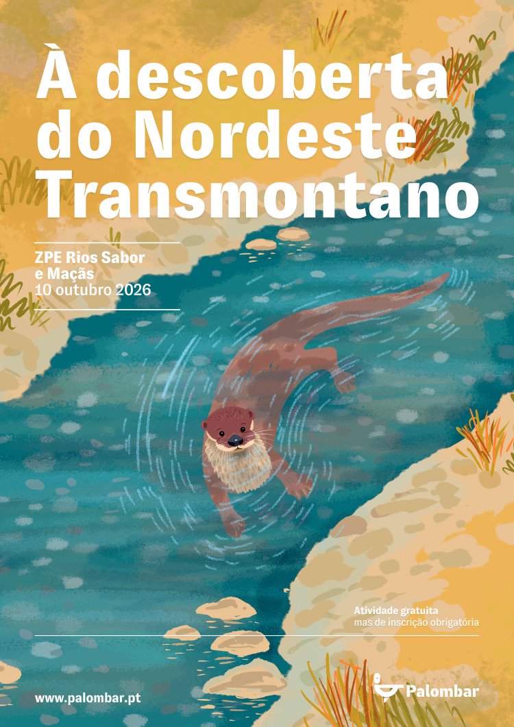 CICLO À DESCOBERTA DO NORDESTE TRANSMONTANO - ZPE RIOS SABOR E MAÇÃS
