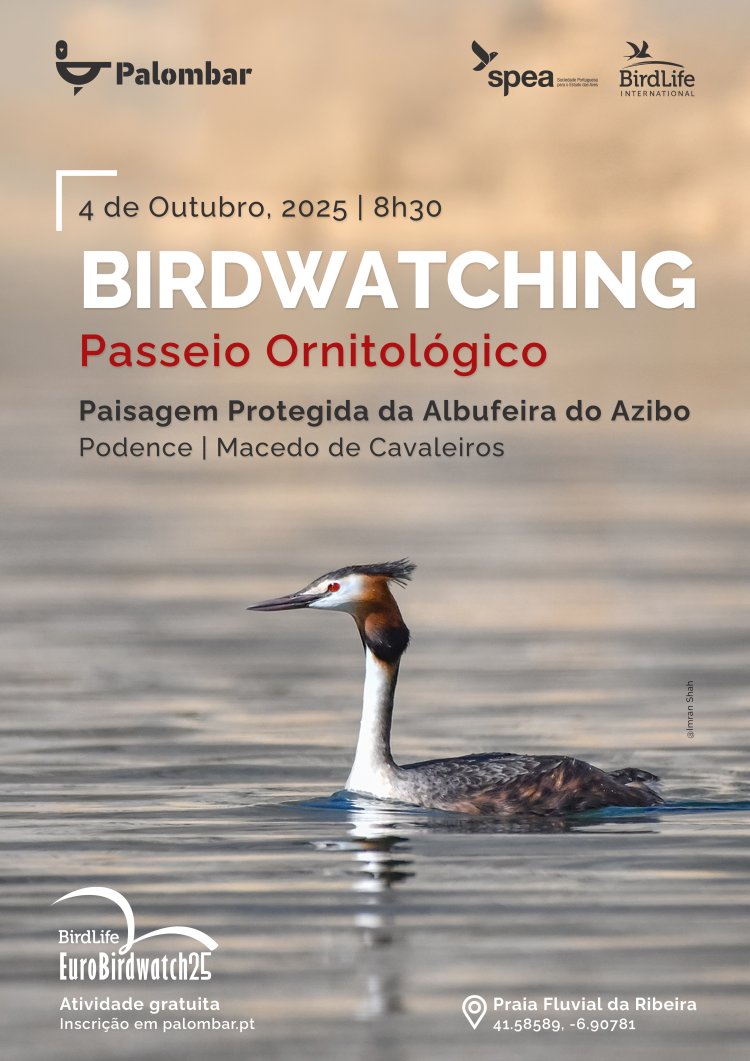 EUROBIRDWATCH 2025