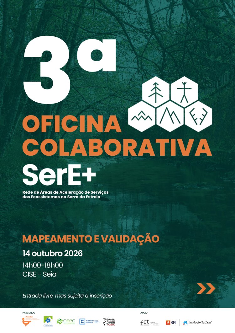 SerE+ OFICINAS COLABORATIVAS  