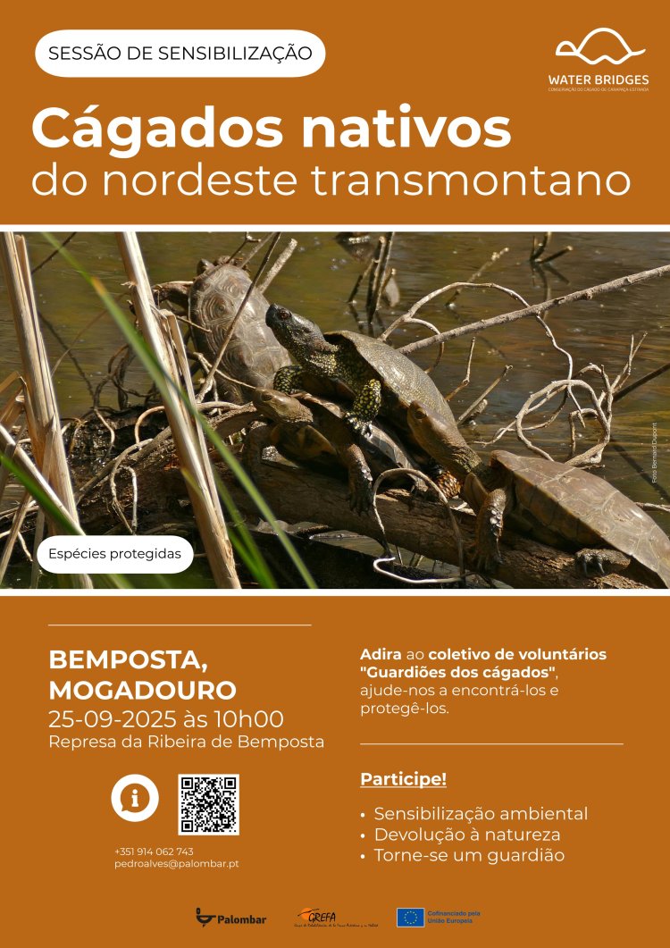 Sessão de Sensibilização