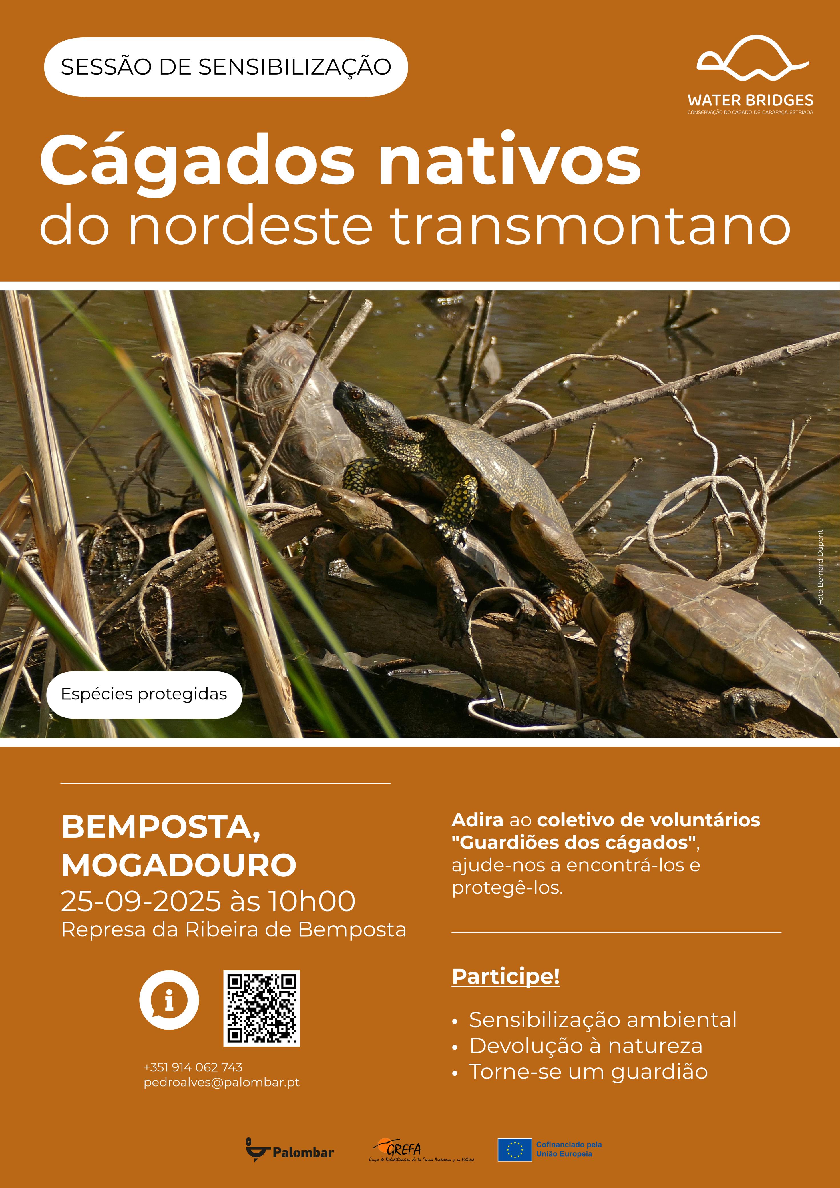 Sessão de Sensibilização