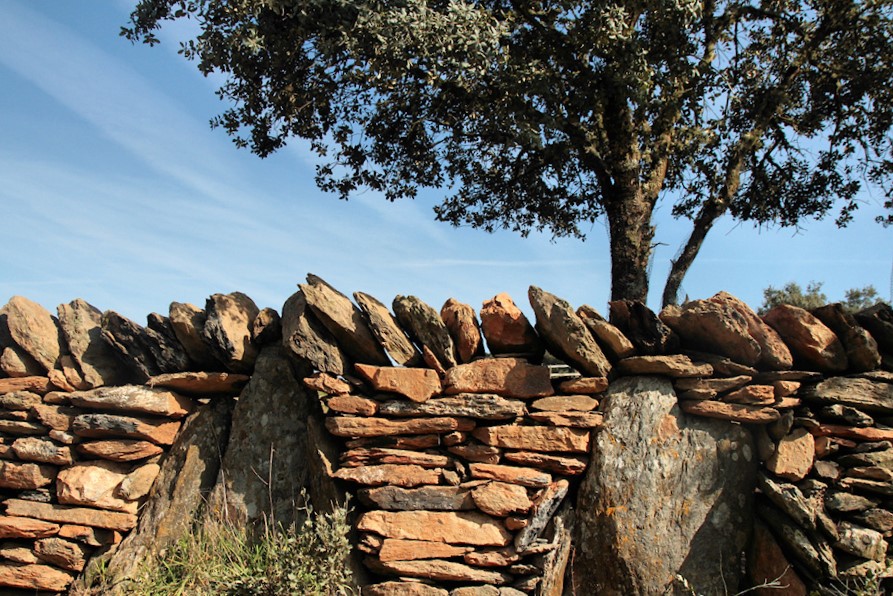 ATUALIZA A TUA QUOTA. Preserva a identidade do território.