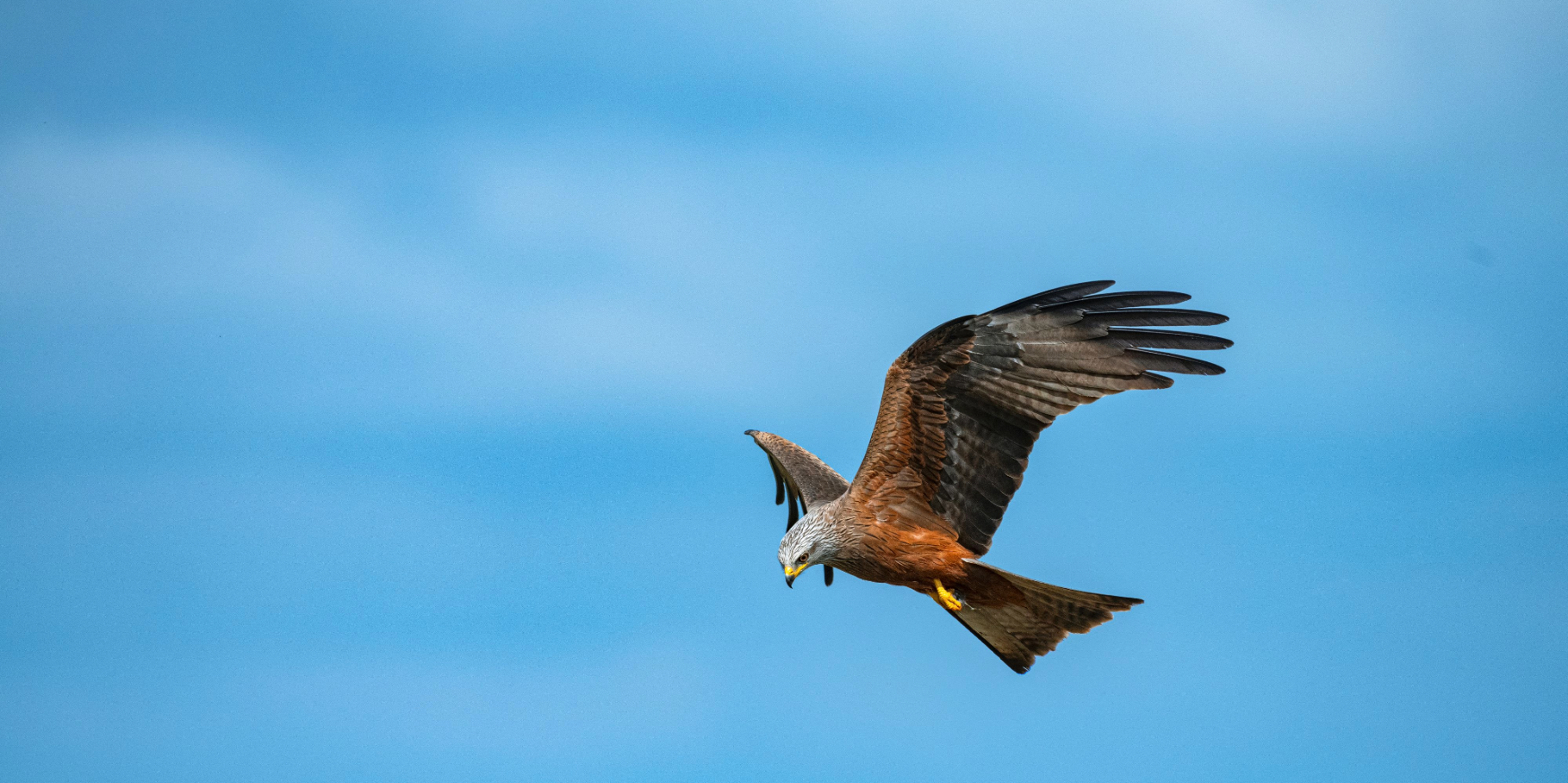 Conservação da Natureza