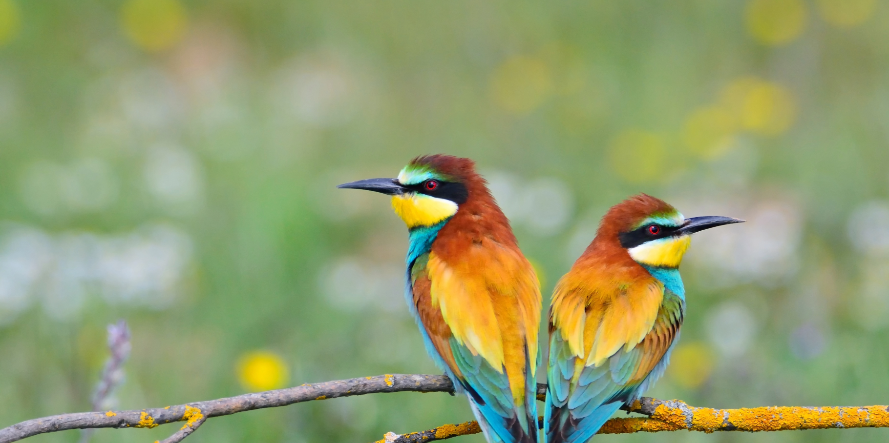 Política de privacidade e de cookies