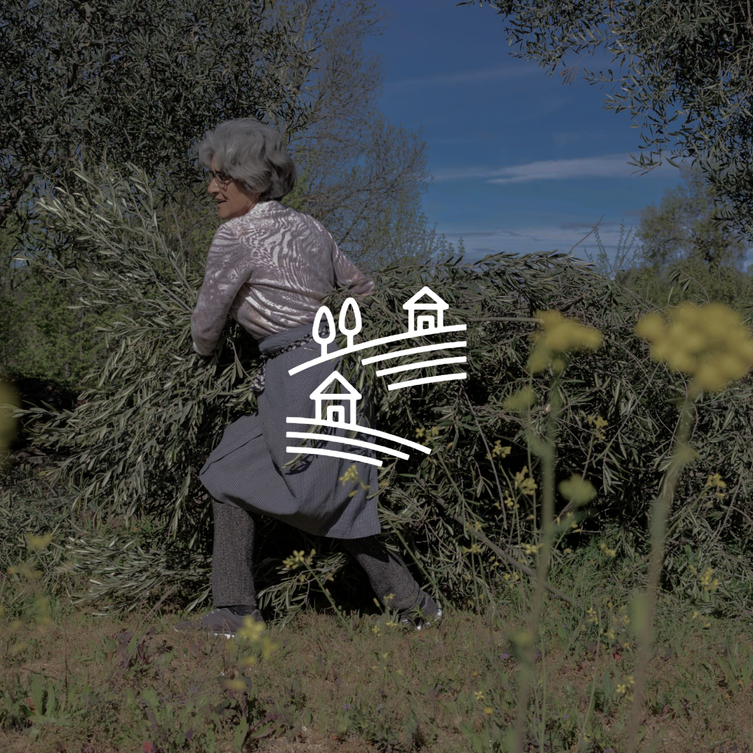 Promovemos o desenvolvimento do interior