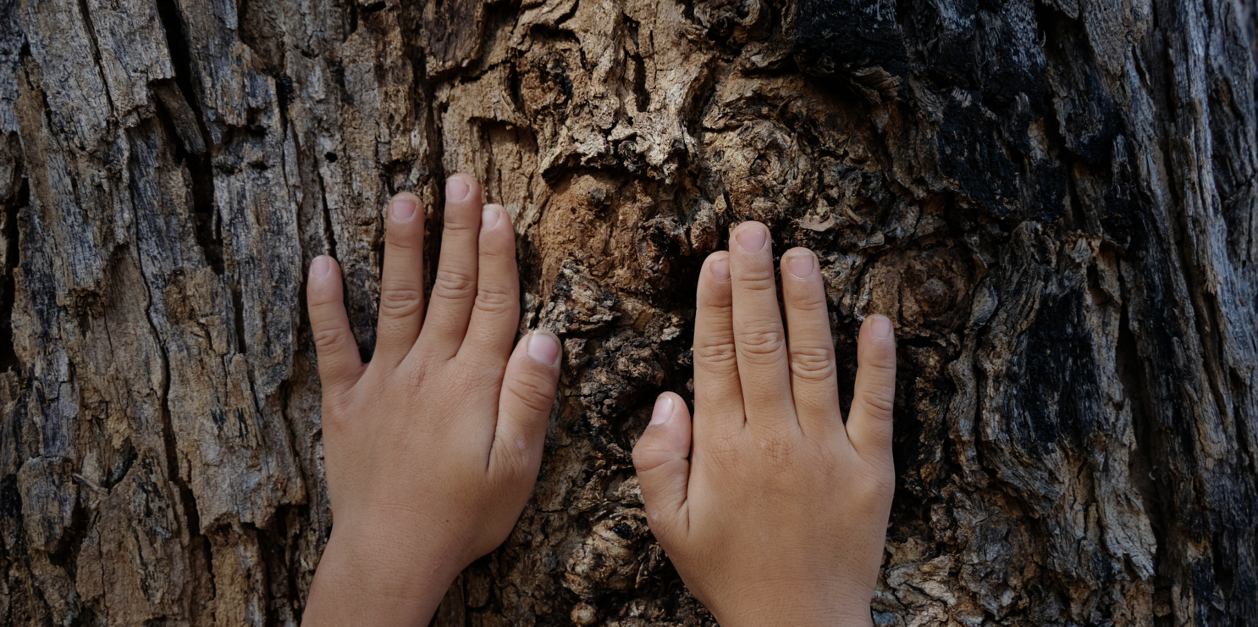 SENSIBILIZAÇÃO E EDUCAÇÃO AMBIENTAL