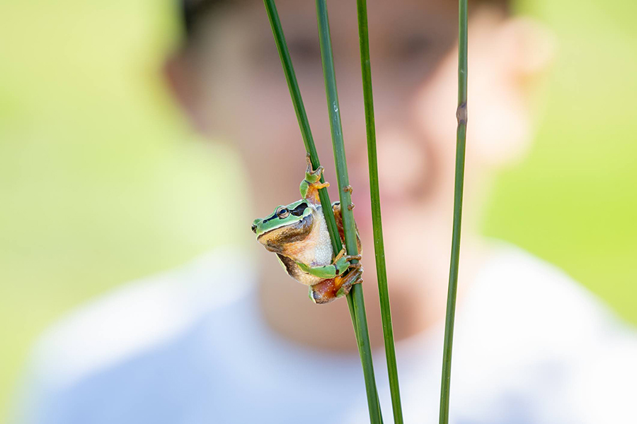 2.ª Edição do Spreitar L Cielo aliou Astronomia, Natureza e Fotografia para explorar o espaço e a paisagem