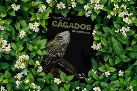 Palombar publica primeiro guia de campo sobre os cágados de Portugal
