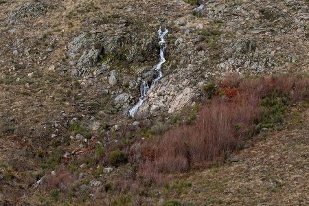SerE+: 1.ª Oficina Colaborativa do projeto vai avaliar e identificar serviços de ecossistemas essenciais da Serra da Estrela
