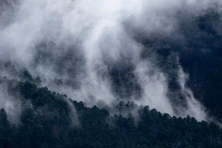 SerE+: projeto arranca na Serra da Estrela para unir ciência e comunidades no restauro e valorização dos serviços da natureza