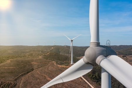 Zonas de Aceleração para as Energias Renováveis: organizações de ambiente defendem critérios e medidas exigentes de proteção da natureza e das comunidades