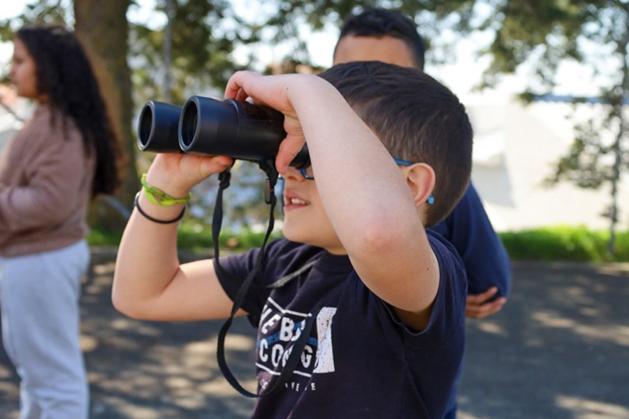 “Miúdos pelo Monte”: alunos exploram o mundo das aves do Parque Natural do Douro Internacional