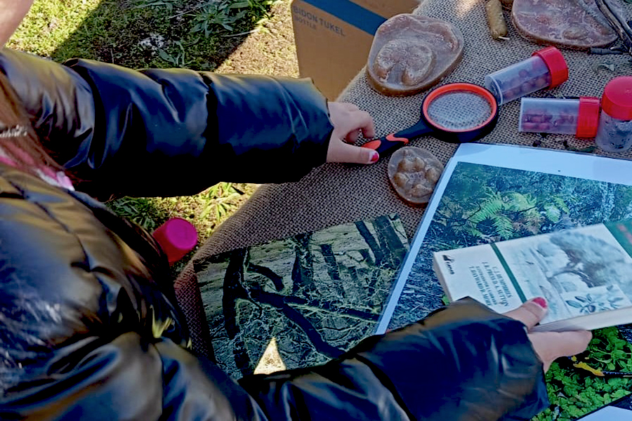 Projeto Junto à Terra integra programa “Semear + Cedo” no Vale do Tua para conectar gerações mais novas ao território