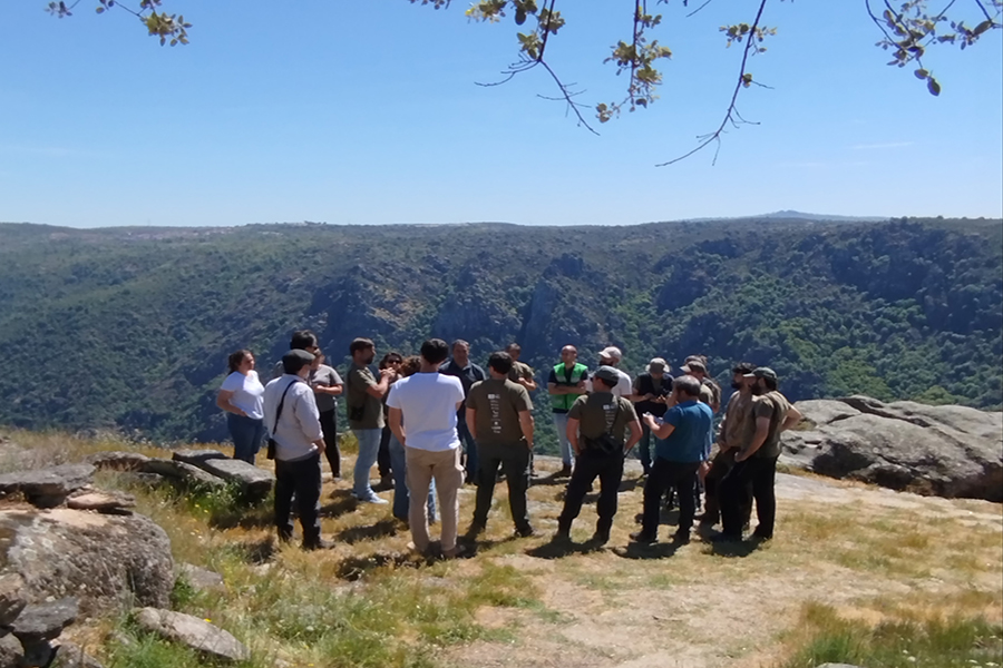 Projeto LIFE Aegypius Return entra na fase final já com grandes conquistas