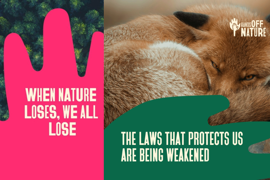 When nature loses, we all lose: sign the petition against the deregulation of environmental laws in the EU